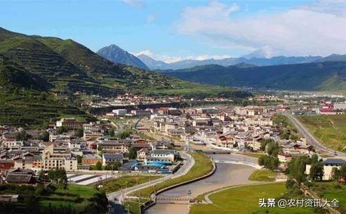 2020年农村乡镇创富指南！四大致富项目，农民朋友们不容错过，财富之路等你来拓！