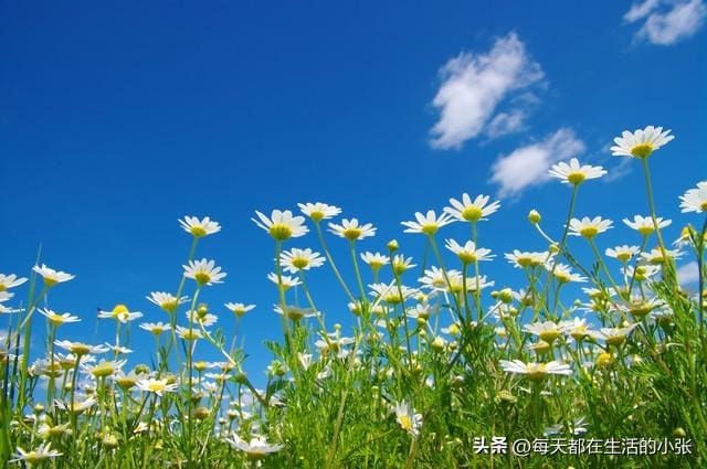 财富倍增秘籍！20个高效存钱小妙招，助你轻松踏上致富之路