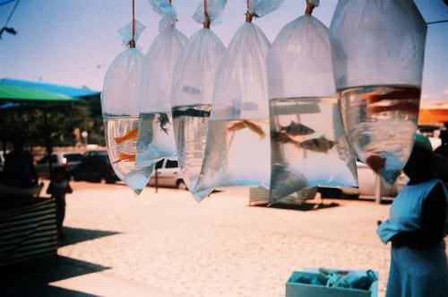 揭秘！亿万富翁的六大赚钱秘籍，让财富倍增的思维模式！