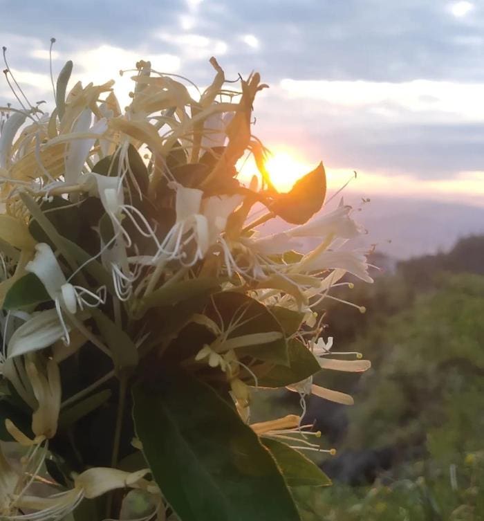 财商教育宝典！揭秘犹太人十二条赚钱法则，打造你的财富增长引擎！