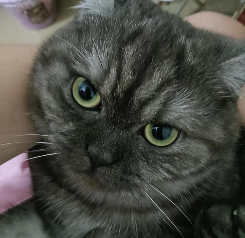 周末夫妻档，手作两天赚足300元！努力与创意的甜蜜果实，幸福满溢的收获时刻！