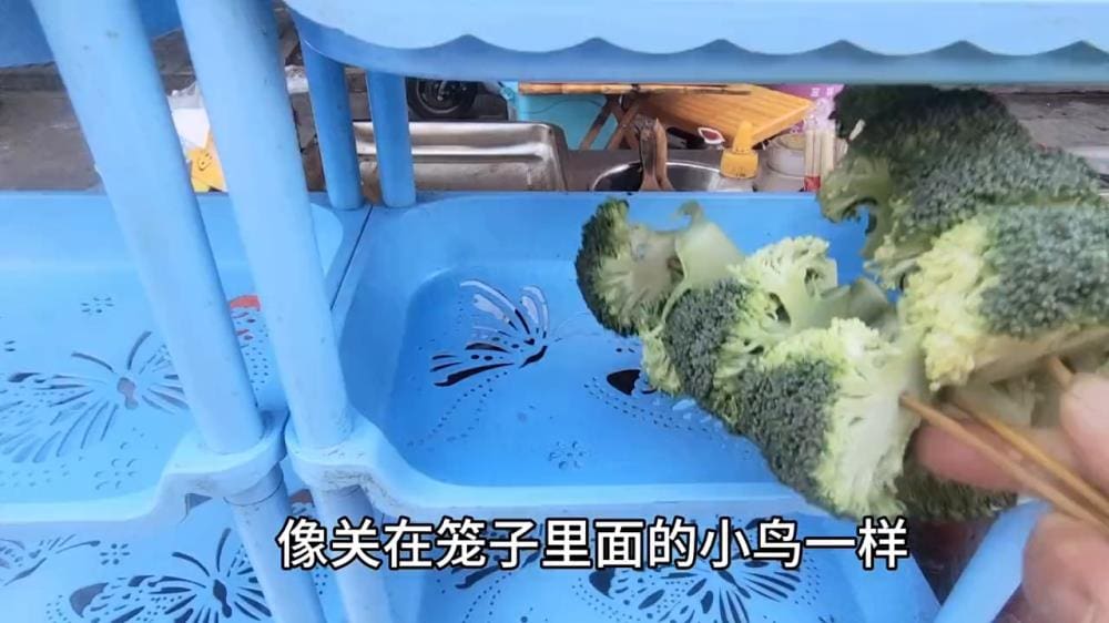 80后奋斗记！摆摊日常大公开，记录汗水与收获并存的精彩人生！