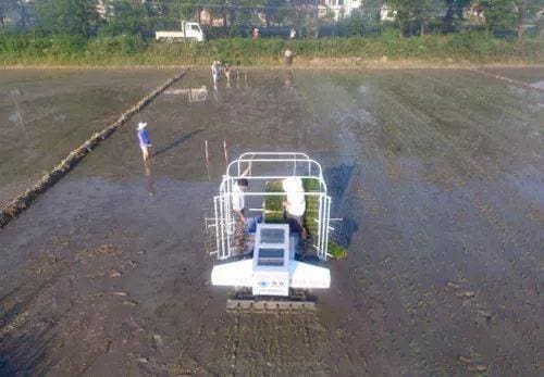 农村致富秘籍大放送！十多条门路任你选，投入灵活，总有一条适合你！