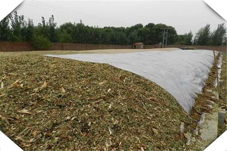 10万启动金，农村创业新篇章！精选加工厂项目，低成本高回报，助你开启财富新纪元！