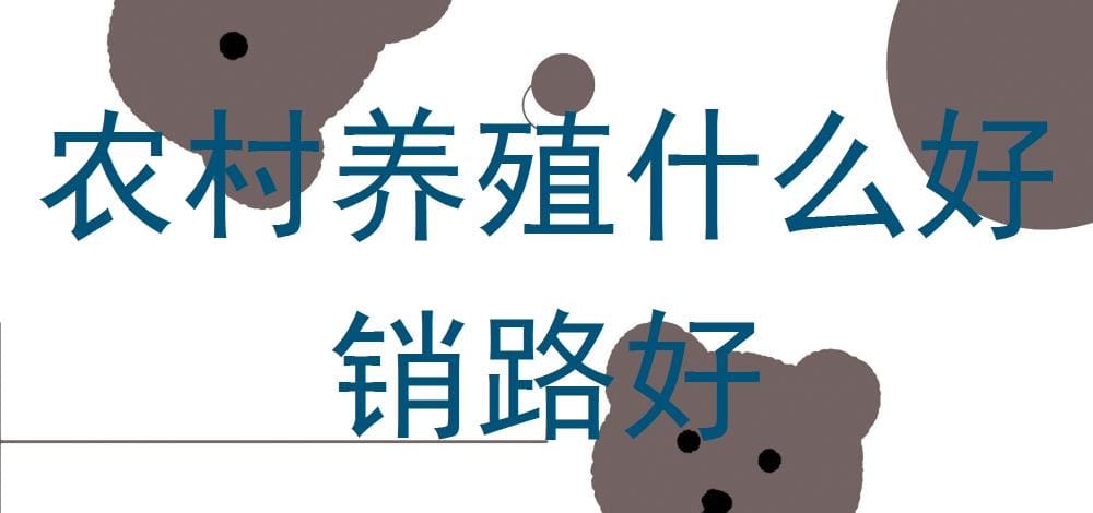 农村养殖新风口！这些项目热销不愁，助你轻松打开财富之门！