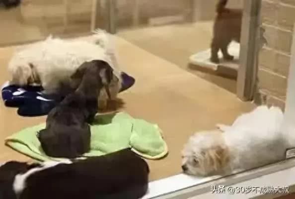 揭秘！冷门行业隐藏的日赚150元秘籍，新机遇等你来探索，轻松开启财富新篇章！