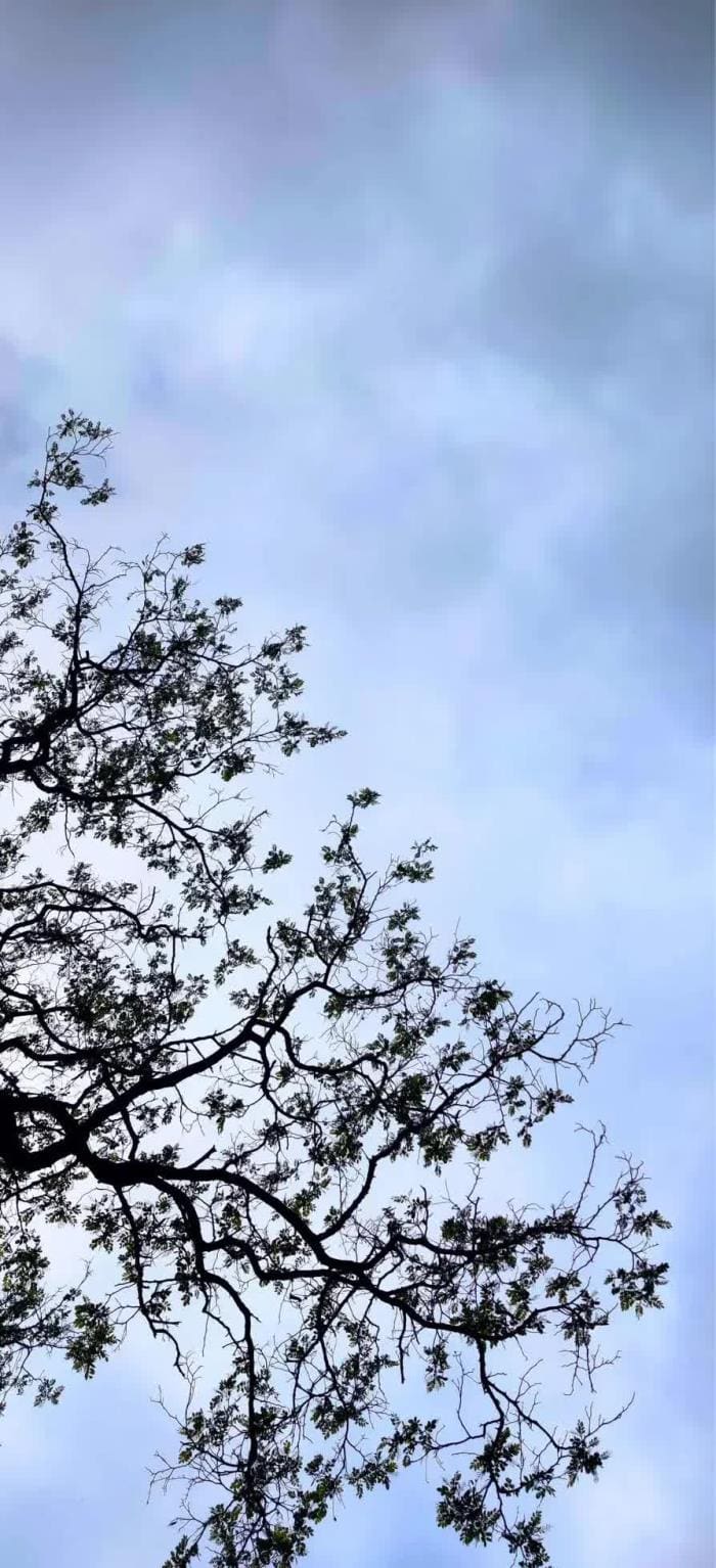 揭秘！银行信用卡背后的赚钱机器，你不可不知的盈利策略！