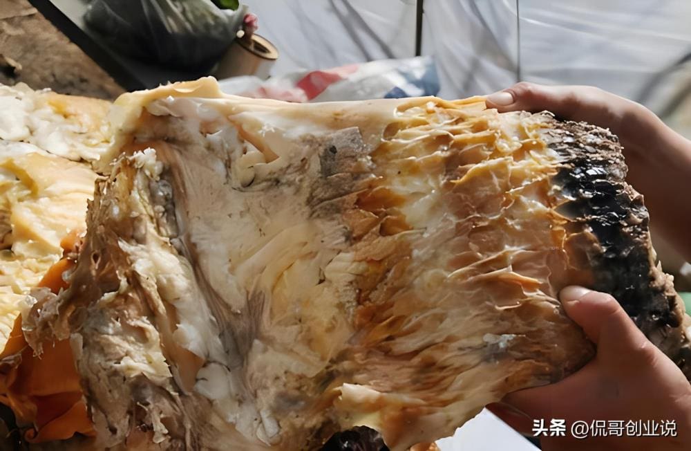 逆袭人生！普通人也能一夜暴富的6大方式，总有一款适合你！