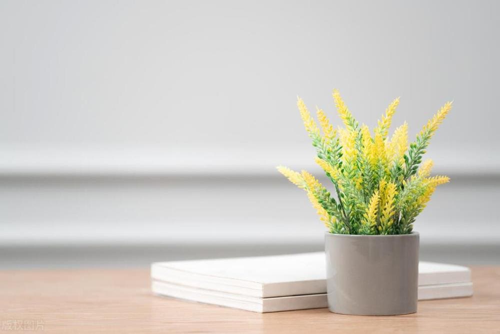 第二是中彩票_揭秘！成为富人的三大黄金法则，让你轻松跨越财富门槛！