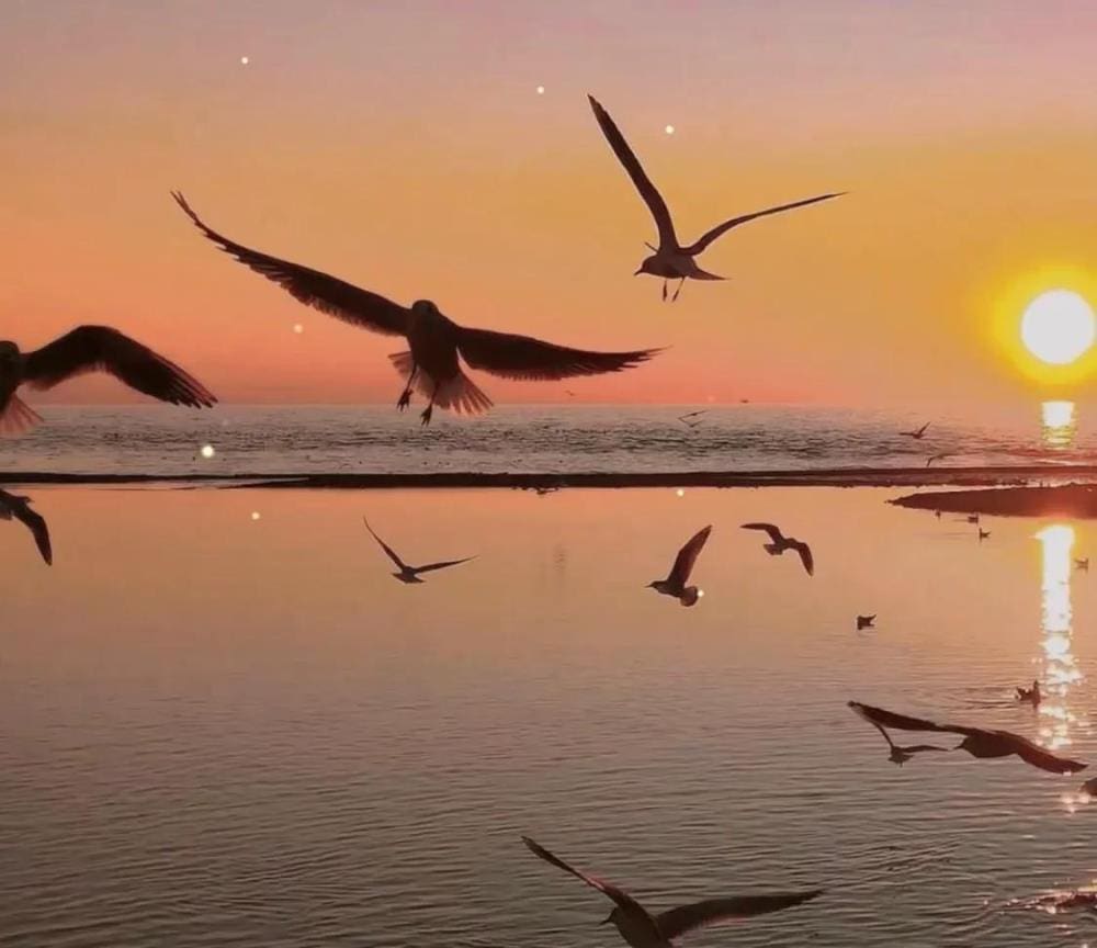 必看！10大必做事项，助你轻松踏上暴富快车道！