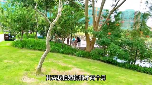 惊人揭秘！350万播放量视频的真实收益，想知道的快来围观，错过等一年！