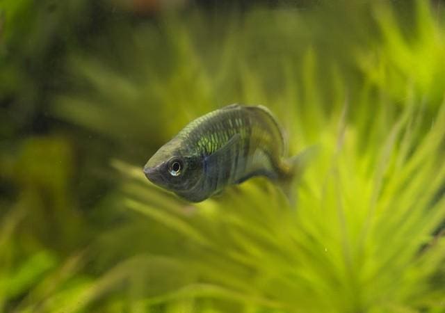 揭秘秀莲保姆生涯的意外篇章——‘突如其来’第40集，情感与命运的交织，挑战与成长并存，不容错过的精彩瞬间！