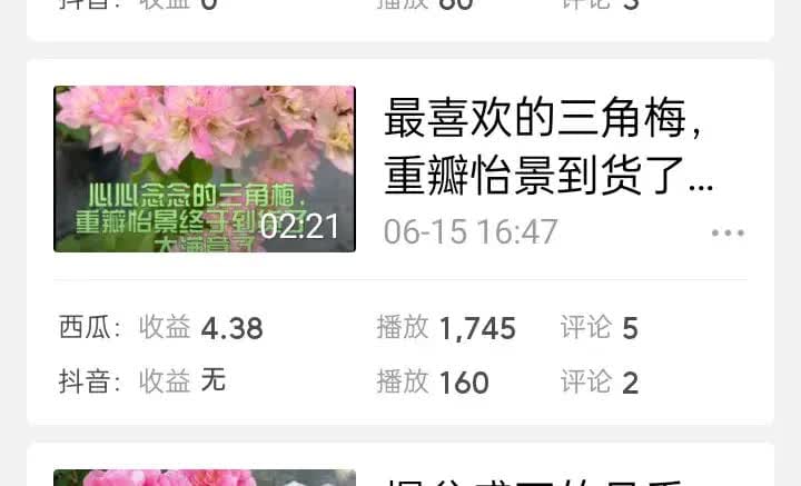 震撼揭秘！西瓜视频中视频计划通关记：收入飙升，超乎想象的财富之旅！