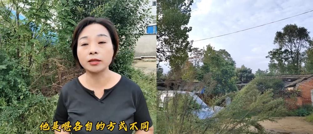 中视频赚钱真相大揭秘！@抖音创作者中心带你一探究竟，看看别人如何轻松实现收益增长，你也能做到！