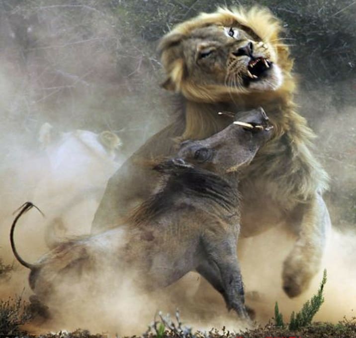 财富风暴来袭！八大赚钱神器，助你光速累积财富，迈向人生巅峰！