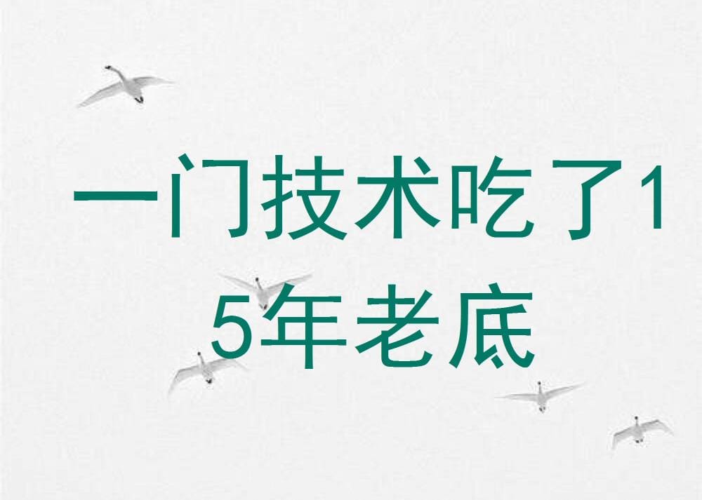 一技之长，十五年辉煌路！技术傍身，老底丰厚，职场常青树的不败传奇！