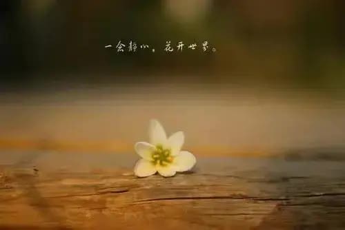 今日头条阅读量飙升秘籍！揭秘高效策略，让你的内容成为亿万人瞩目的焦点！