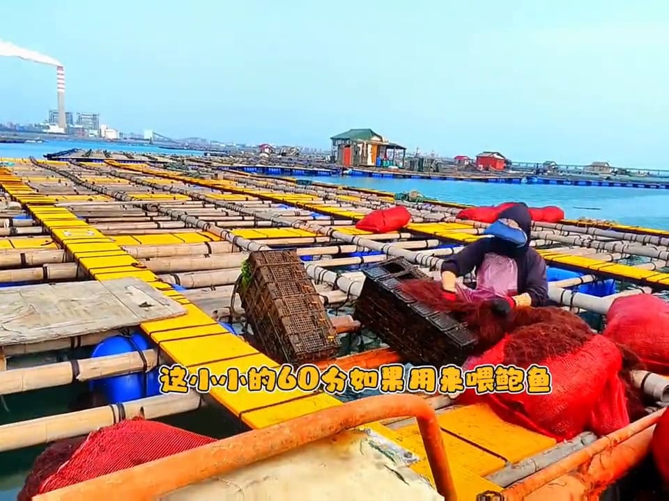 独家揭秘！#原创视频震撼上线，带你领略前所未有的视觉盛宴！