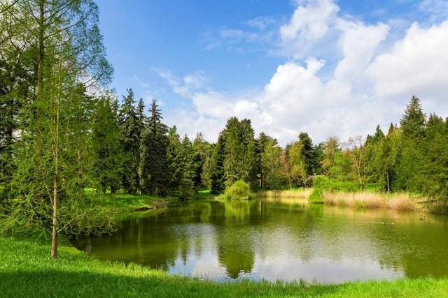 头条生存法则大揭秘！适度‘厚脸皮’，助你头条之路风生水起，但切记底线不可失！