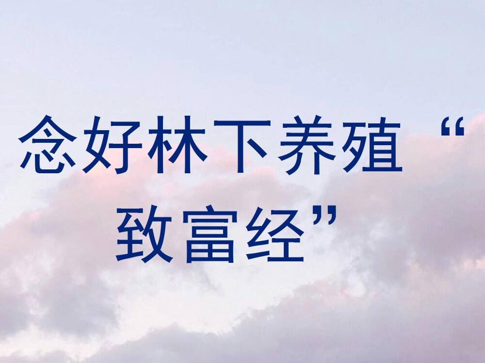 林下养殖新蓝海！念好这本‘致富经’，开启绿色财富新篇章！