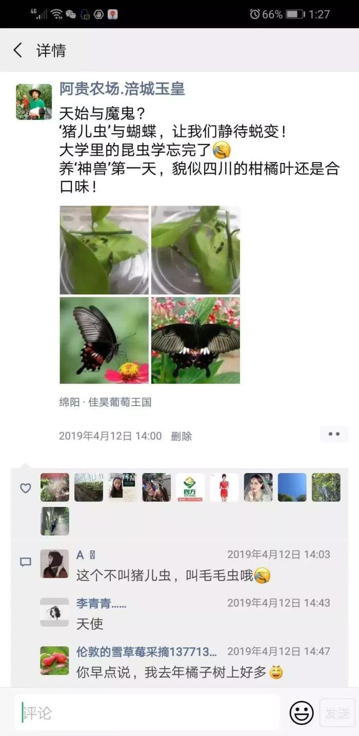 从野鸡养殖梦碎到番茄大王崛起！‘致富经’之外的意外转折，创业路上逆袭传奇！