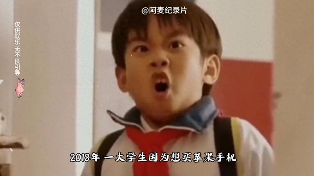 震撼上映！《贷领致富的大学生村官》——大型纪录片揭秘村官新篇章，引领乡村振兴潮流！