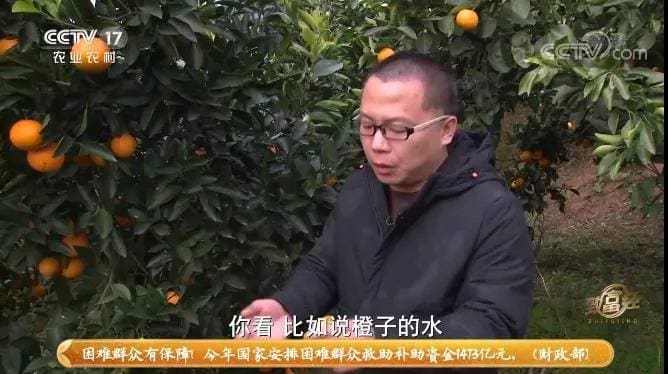 易湘华亲授：《致富经》背后的成功秘诀，助你开启财富人生新篇章！