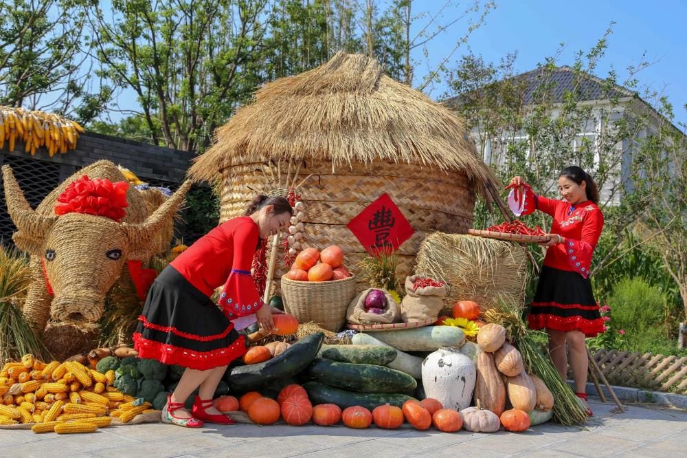 农民朋友们，接好了！2024年农村致富宝藏箱来袭，一箩筐黄金机会等你来捡！