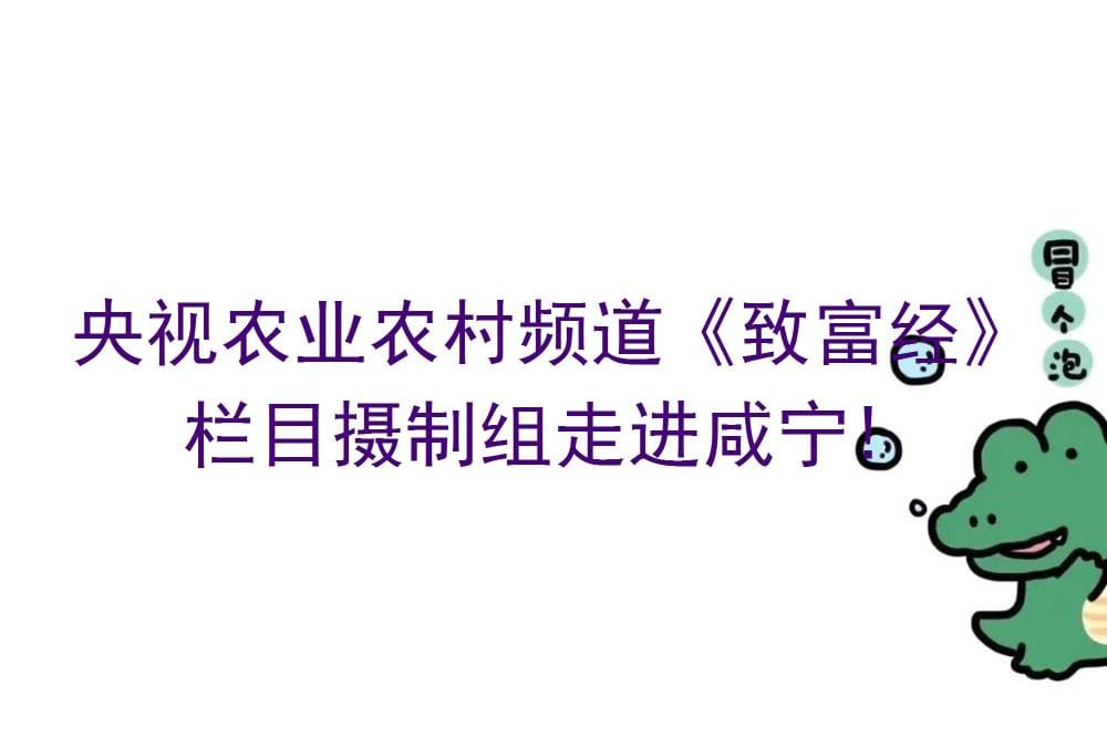 央视《致富经》聚焦咸宁！农业新篇章即将开启，带你领略乡村振兴的财富密码！