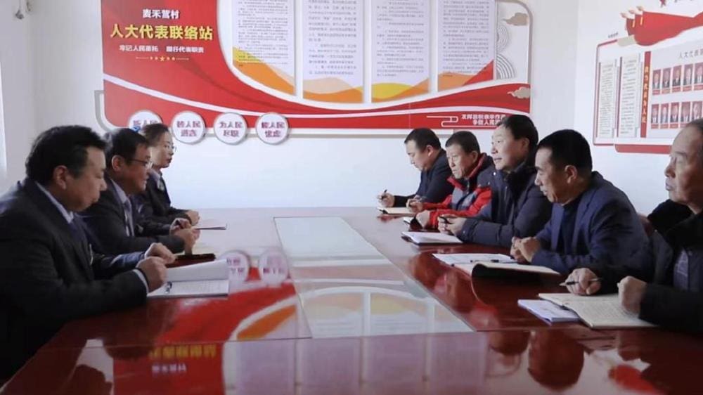 央视独家揭秘!金融惠农新篇章,粮农致富梦照进现实,乡村振兴的强力引擎!