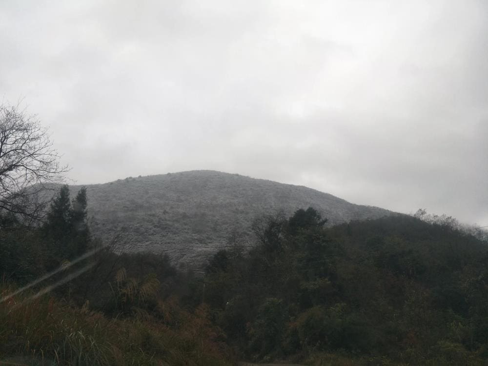 《致富经》背后的魔力！为何让人如痴如醉，是毒还是宝，揭秘创业路上的心理迷雾！